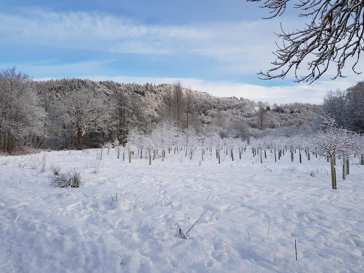 Westcot Ξενοδοχείο Callander Εξωτερικό φωτογραφία